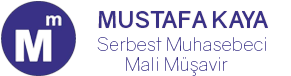 Serbest Muhasebeci Mali Muşavir